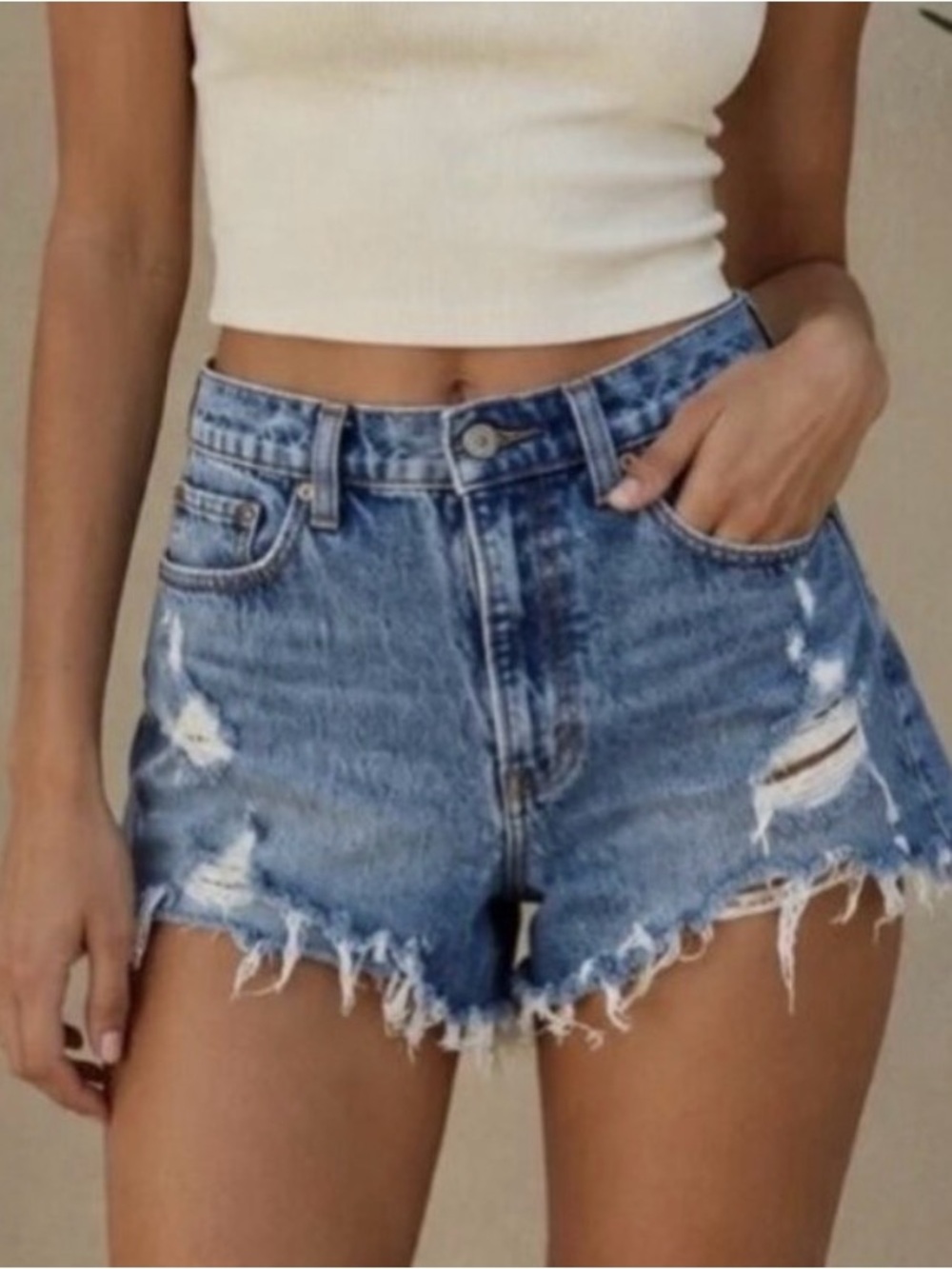 Abercrombie & Fitch Distressed The Mom High Rise Shorts 00 / 24